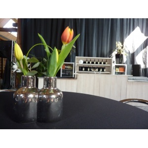 Steigerhout bar ombouw (wit)