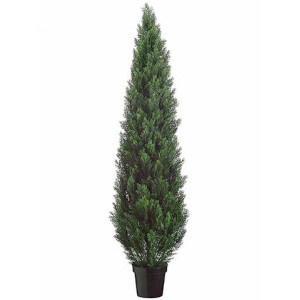 Conifeer 180cm