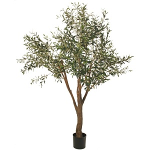 Olijfboom Bormes 200cm