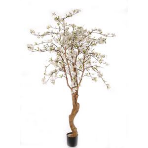 Appelbloesem de luxe 170cm