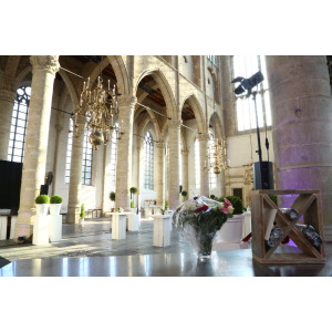 Steigerhout wit losse componenten